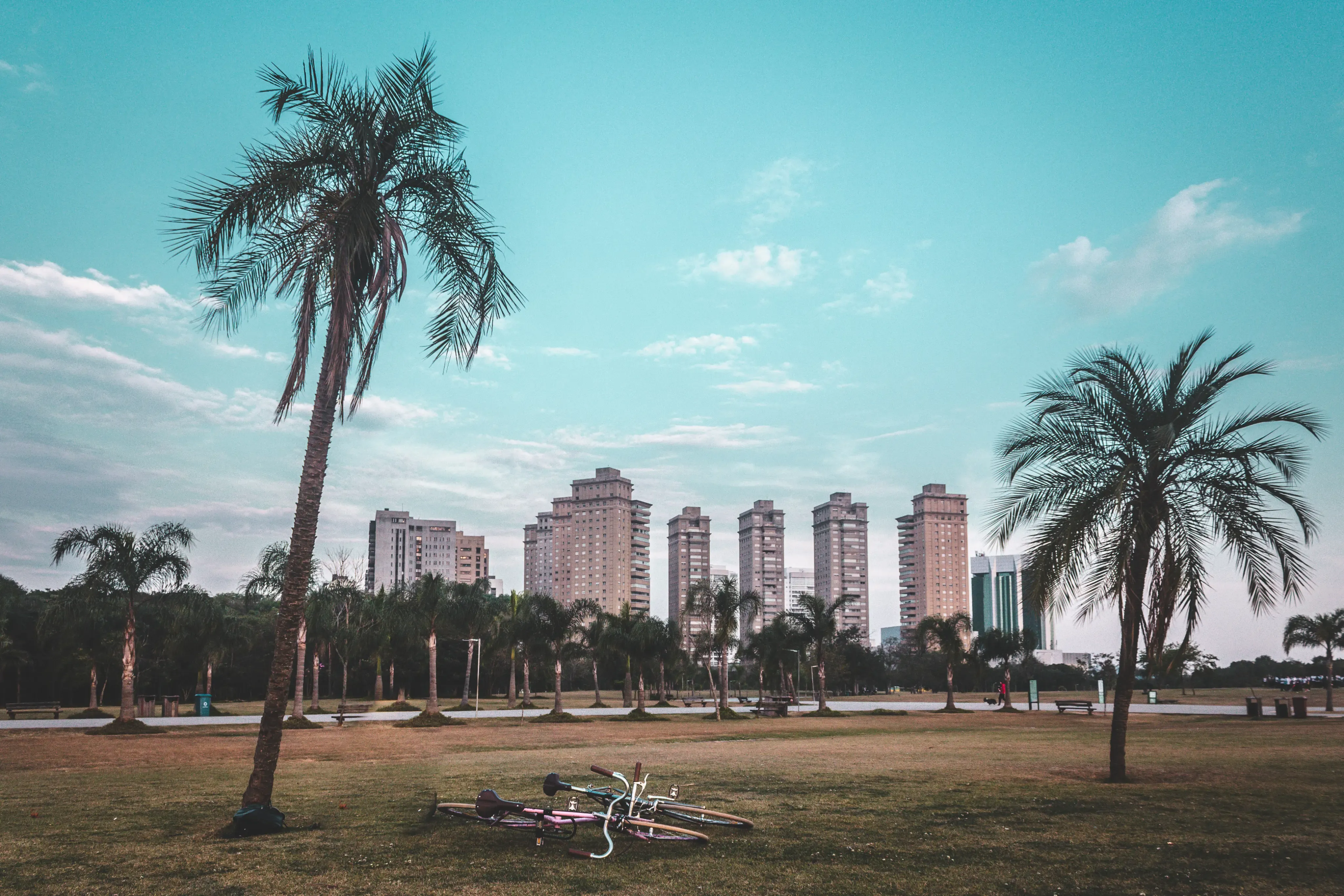 Parques no Alto de Pinheiros Imagem 0