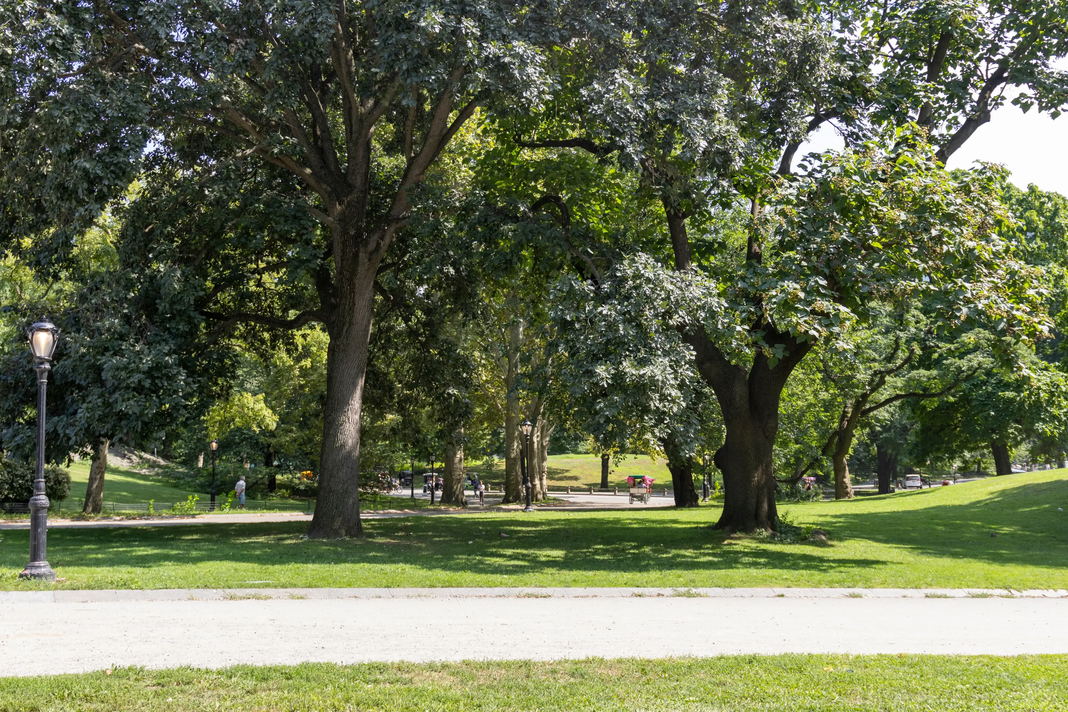 As praças do Jardim América Imagem 0