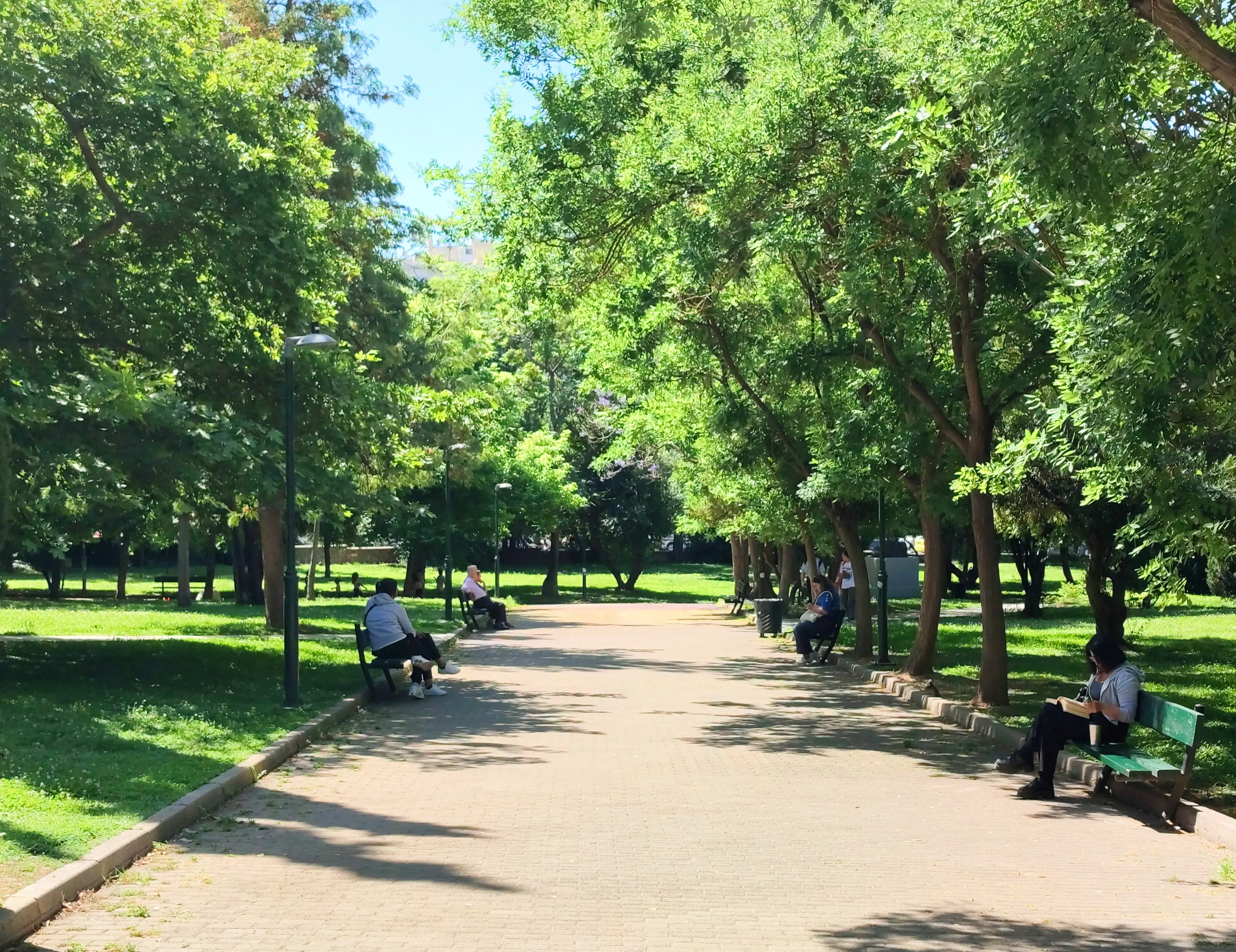 Parques no Jardim Paulistano Imagem 0
