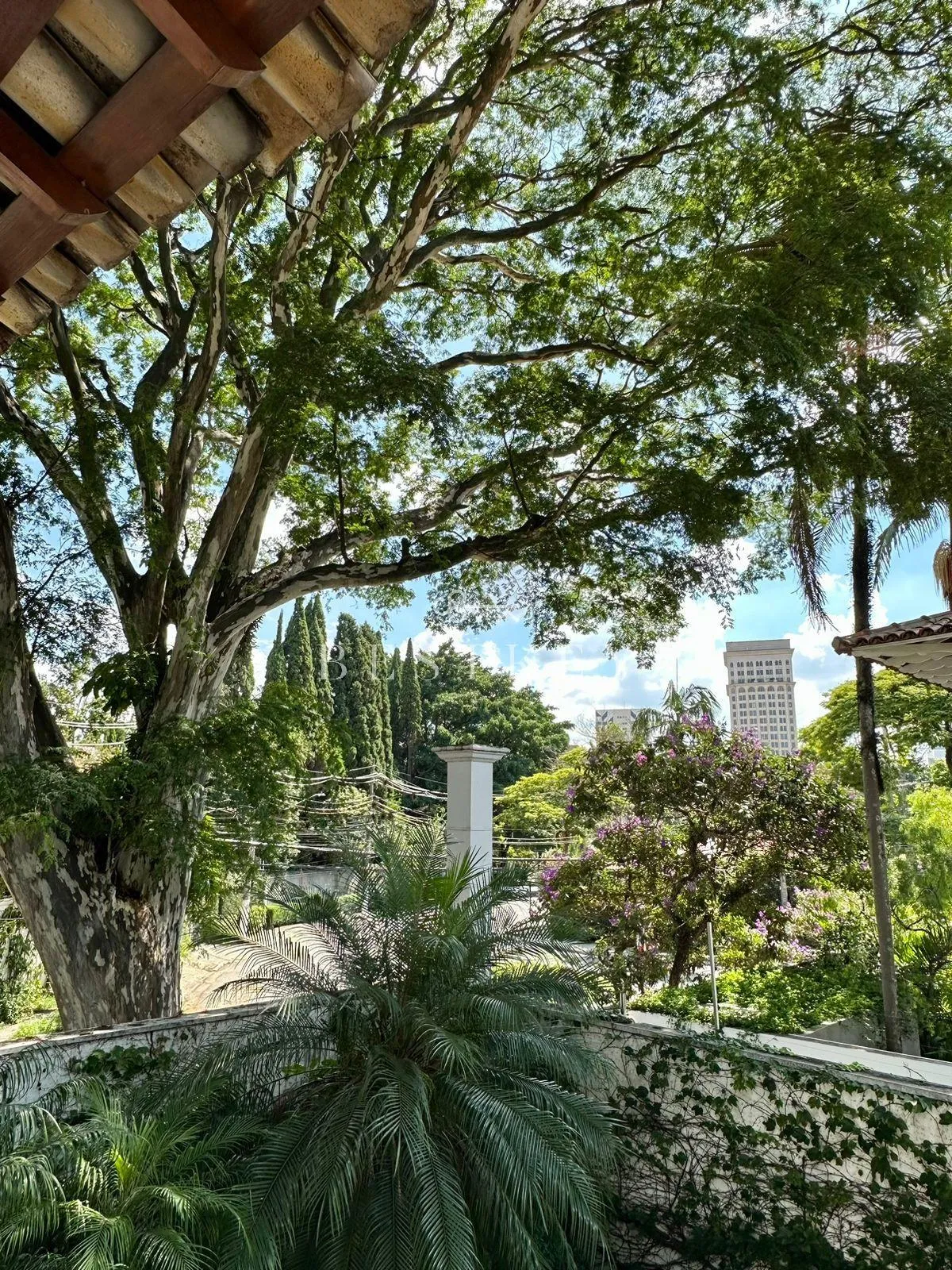 Casa com 3 suítes à venda em Jardim Europa, São Paulo, por R$ 6.600.000 Imagem 11