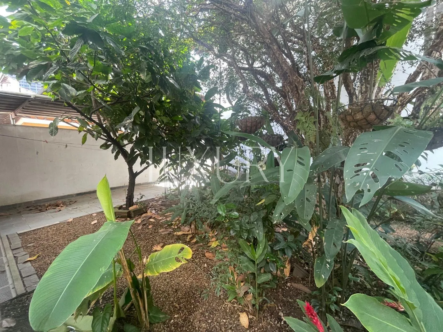 Casa com 2 suítes à venda em Jardim América, São Paulo, por R$ 11.000.000 Imagem 38