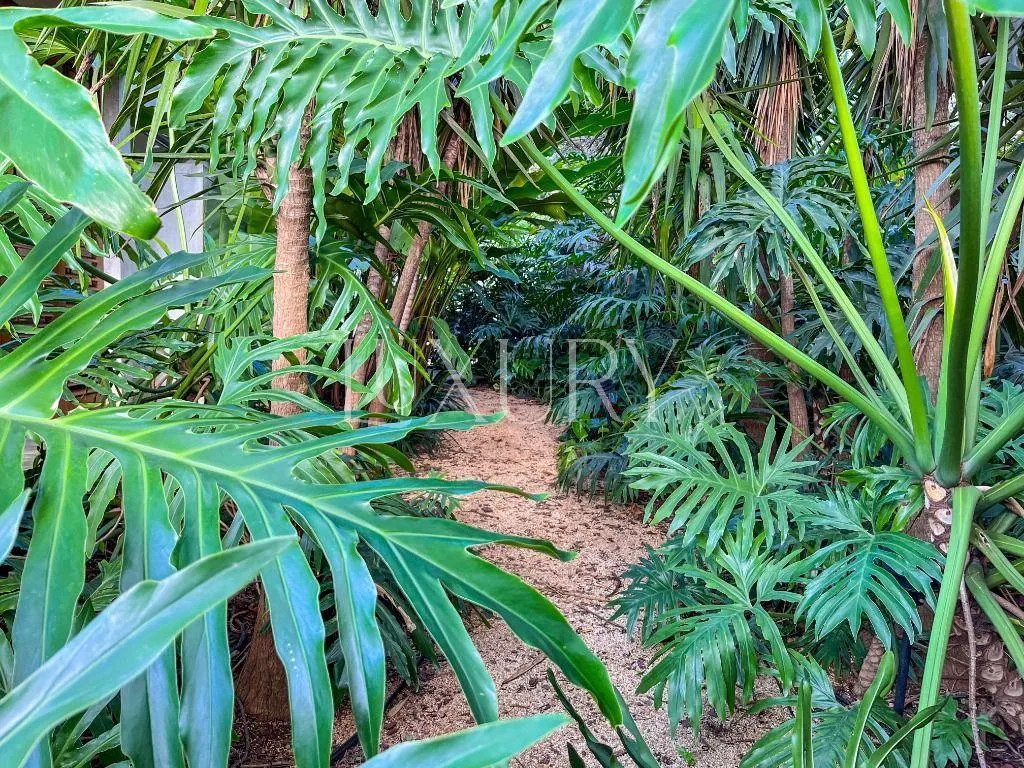 Casa com 4 suítes à venda em Alto de Pinheiros, São Paulo, por R$ 7.970.000 Imagem 8