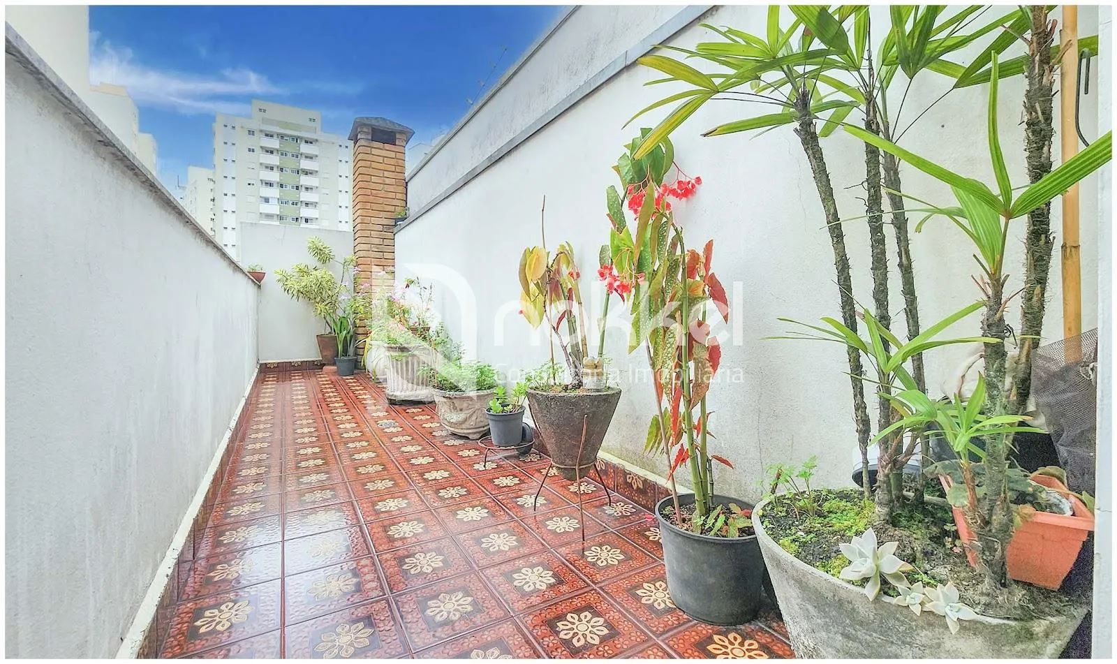 Casa com 2 suítes à venda em Vila Mariana, São Paulo, por R$ 3.300.000 Imagem 8
