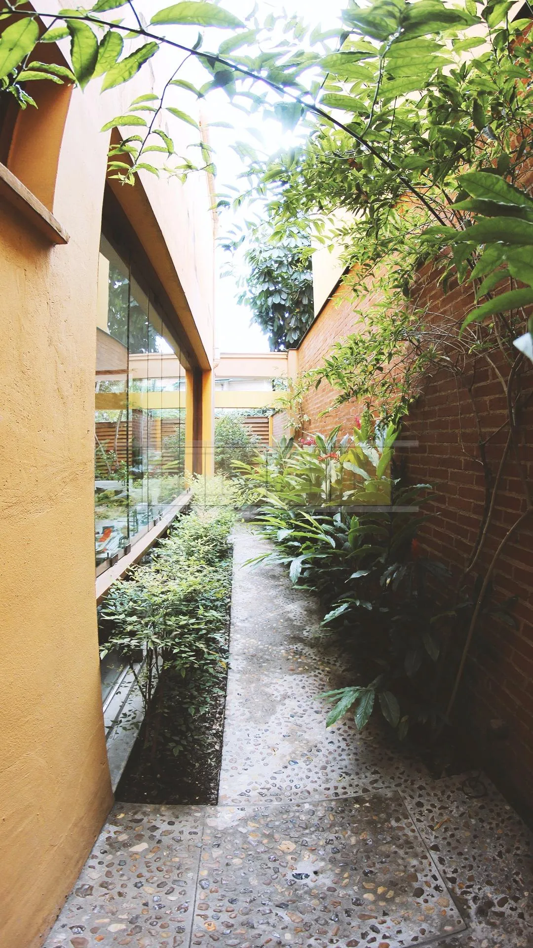 Casa com 2 suítes à venda em Jardim Paulistano, São Paulo, por R$ 5.400.000 Imagem 10