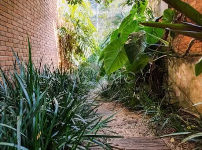 Casa com 2 suítes à venda em Jardim Guedala, São Paulo, por R$ 5.030.000 Imagem 23