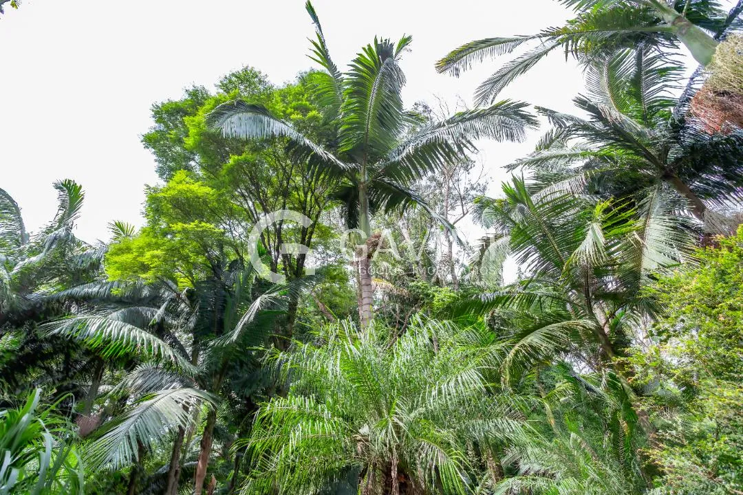 Casa de condomínio com 4 suítes à venda em Morumbi, São Paulo, por R$ 17.000.000 Imagem 38