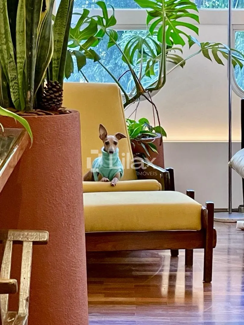 Apartamento com 3 suítes à venda em Cerqueira César, São Paulo, por R$ 5.100.000 Imagem 8