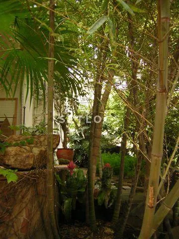 Casa com 1 suítes à venda em Pacaembu, São Paulo, por R$ 3.600.000 Imagem 36