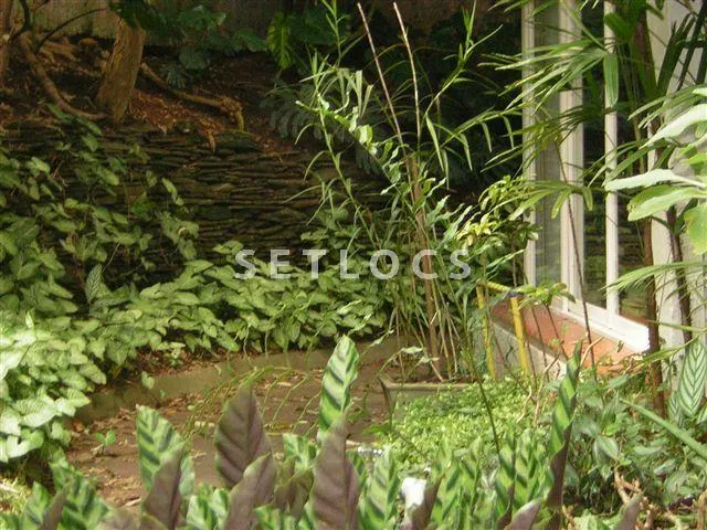 Casa com 1 suítes à venda em Pacaembu, São Paulo, por R$ 3.600.000 Imagem 39