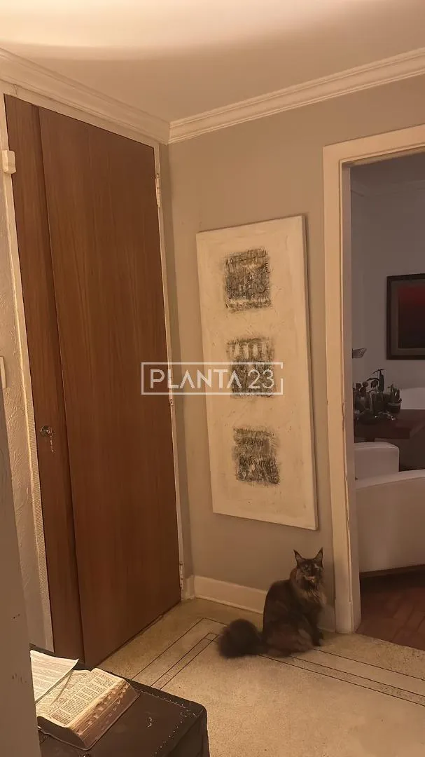 Casa com 2 suítes à venda em Jardim Paulistano, São Paulo, por R$ 7.000.000 Imagem 16