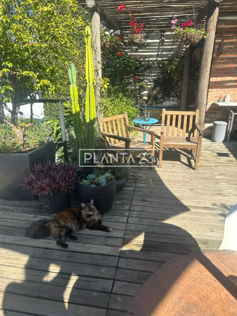 Casa com 2 suítes à venda em Jardim Paulistano, São Paulo, por R$ 7.000.000 Imagem 32