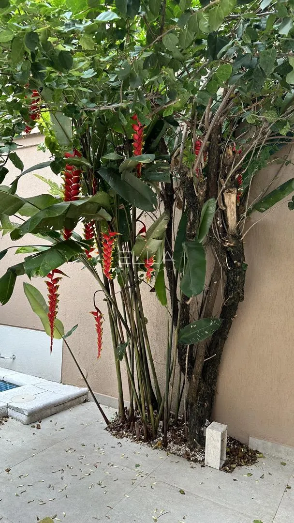 Casa com 2 suítes à venda em Jardim América, São Paulo, por R$ 10.500.000 Imagem 34