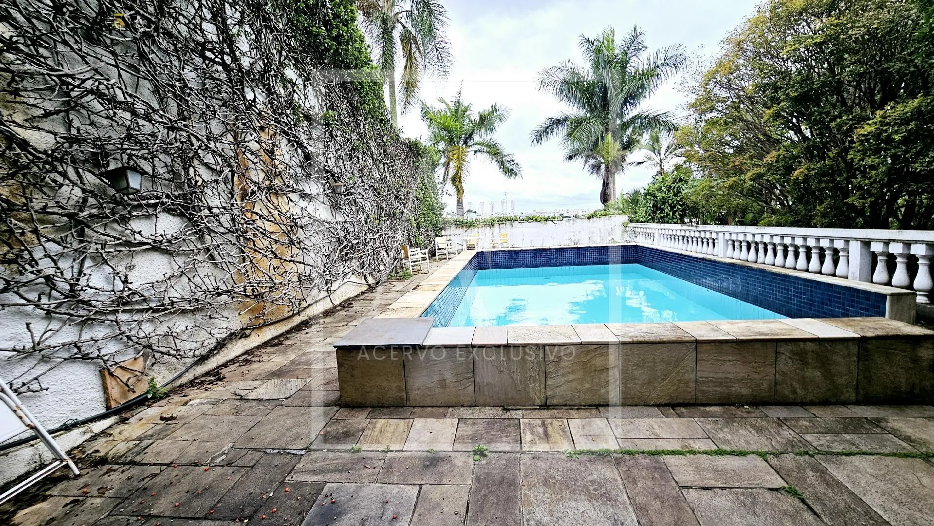 Casa com 1 suítes à venda em Morumbi, São Paulo, por R$ 3.199.000 Imagem 4