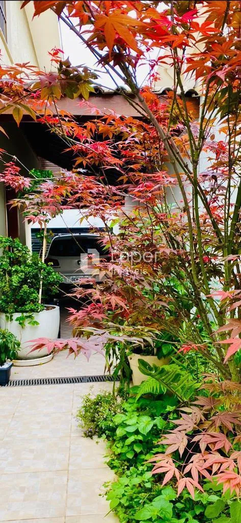 Casa com 1 suítes à venda em Planalto Paulista, São Paulo, por R$ 2.600.000 Imagem 15