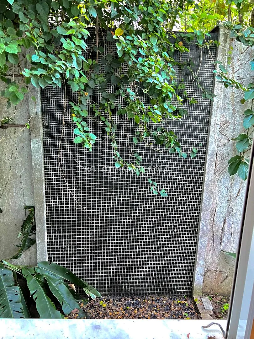 Casa com 4 suítes à venda em Cidade Jardim, São Paulo, por R$ 6.600.000 Imagem 52