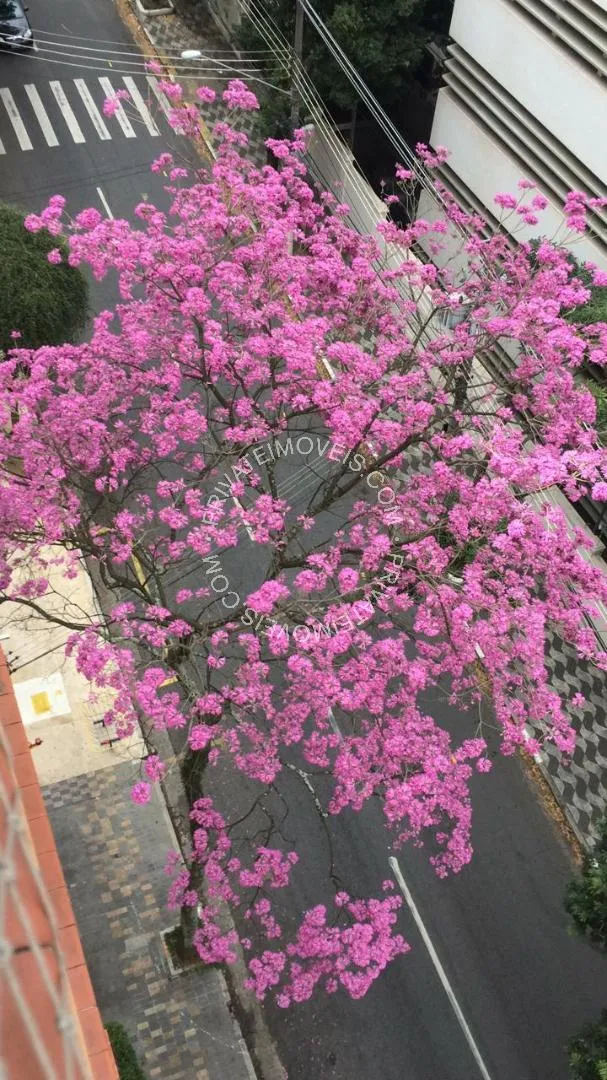 Duplex com 1 suítes à venda em Jardim América, São Paulo, por R$ 4.200.000 Imagem 37