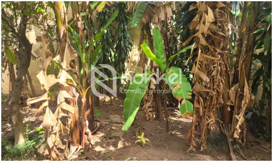 Casa com 3 suítes à venda em Campo Belo, São Paulo, por R$ 12.775.000 Imagem 34