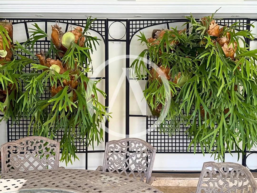 Casa com 3 suítes à venda em Jardim Guedala, São Paulo, por R$ 8.500.000 Imagem 13