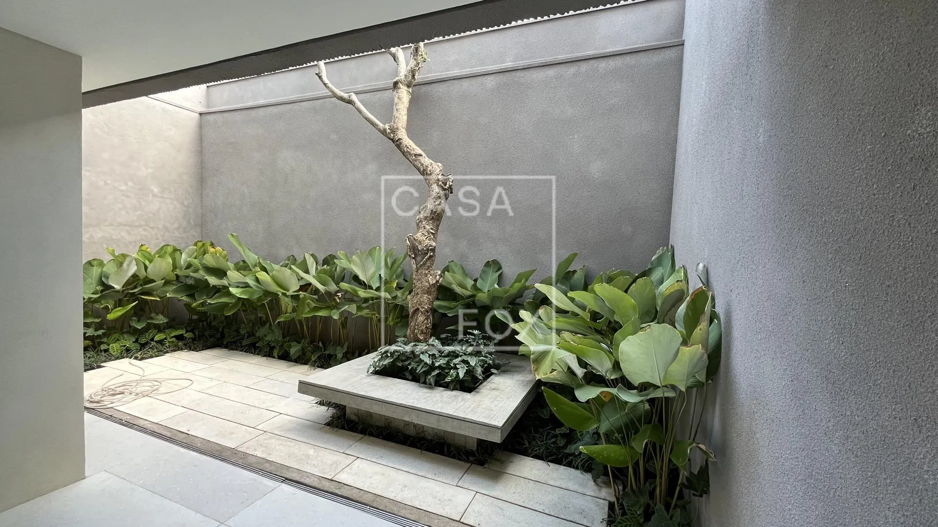 Casa com 2 suítes à venda em Planalto Paulista, São Paulo, por R$ 2.500.000 Imagem 4