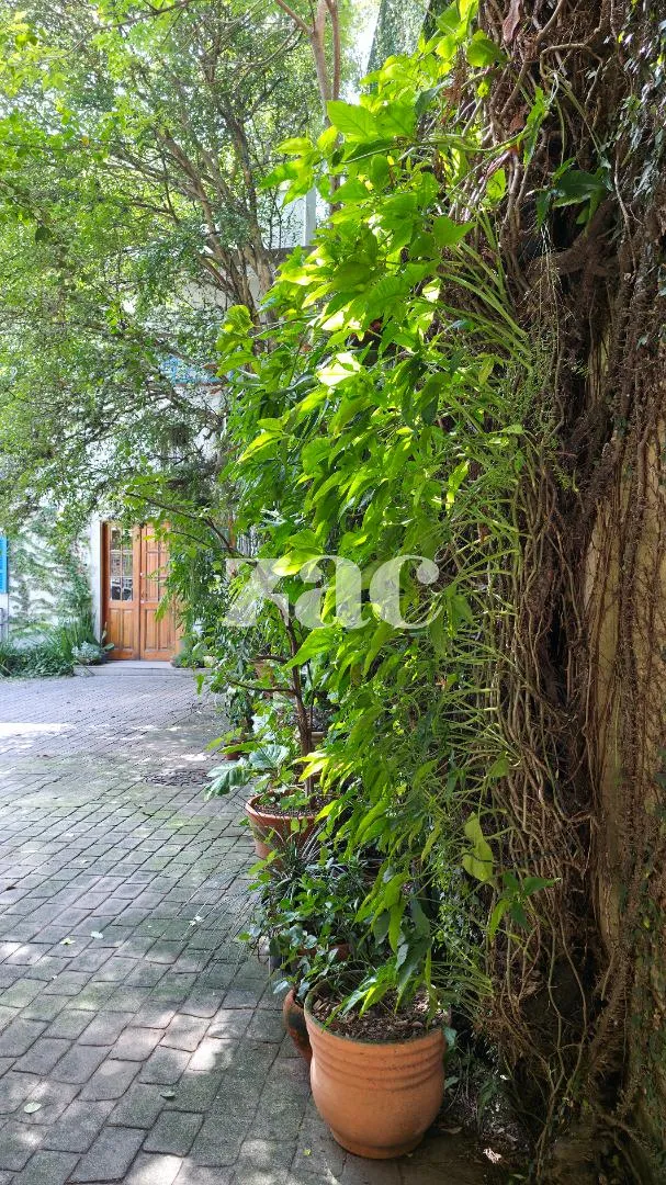 Casa de vila com 2 suítes à venda em Jardim Paulistano, São Paulo, por R$ 4.980.000 Imagem 38