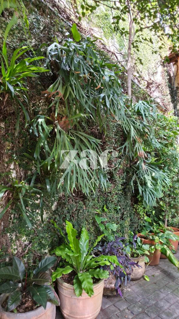 Casa de vila com 2 suítes à venda em Jardim Paulistano, São Paulo, por R$ 4.980.000 Imagem 29