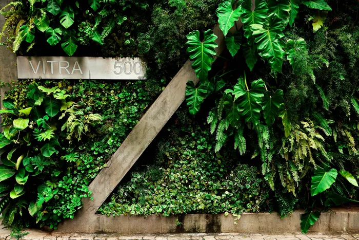 Condomínio Edifício Vitra Imagem 2